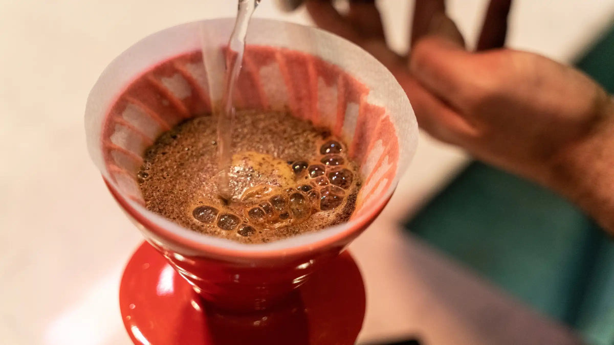 The Perfect Coffee-to-Water Ratio for Your Best Cuppa Coffee