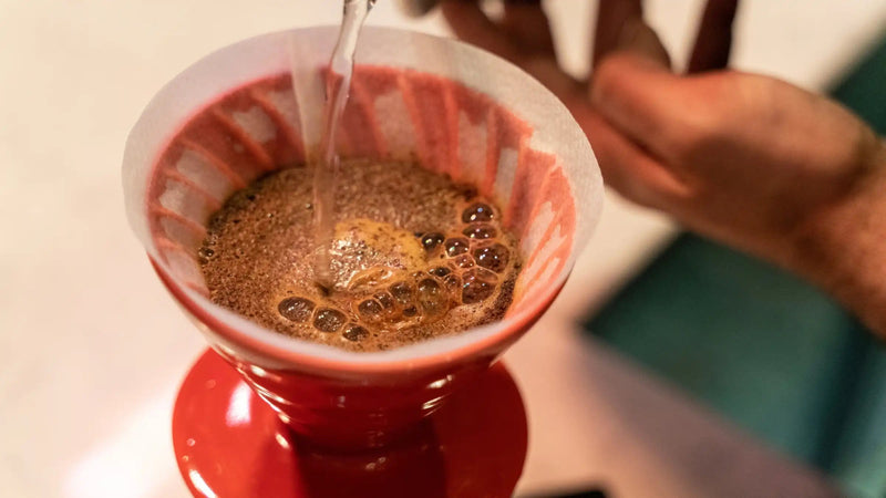 V60 Coffee: 5-Minute Pour-Over Guide - Wilby's Coffee Co.